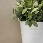 23 Mykonos Hotell Mykonos Town