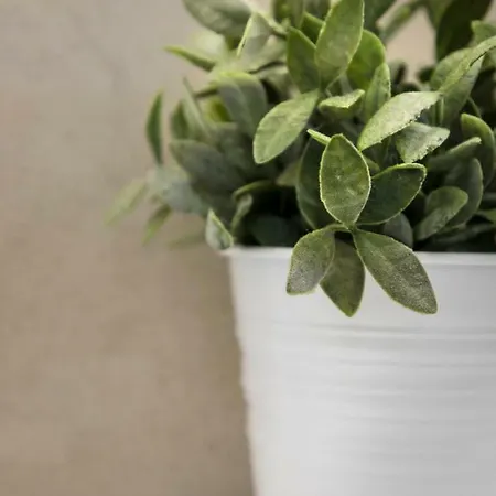 23 Mykonos 호텔 Mykonos Town