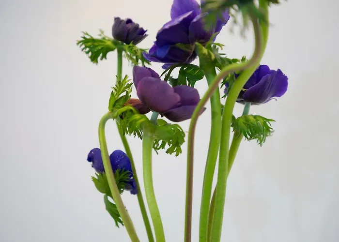 23 Mykonos 3* Mykonos Town