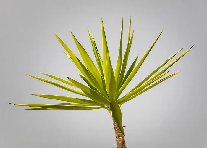 23 Mykonos 酒店 3*