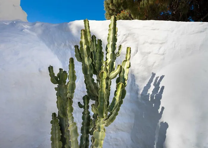 酒店 23 Mykonos Mykonos Town