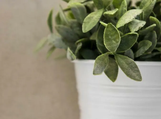 23 Mykonos מלון Mykonos Town